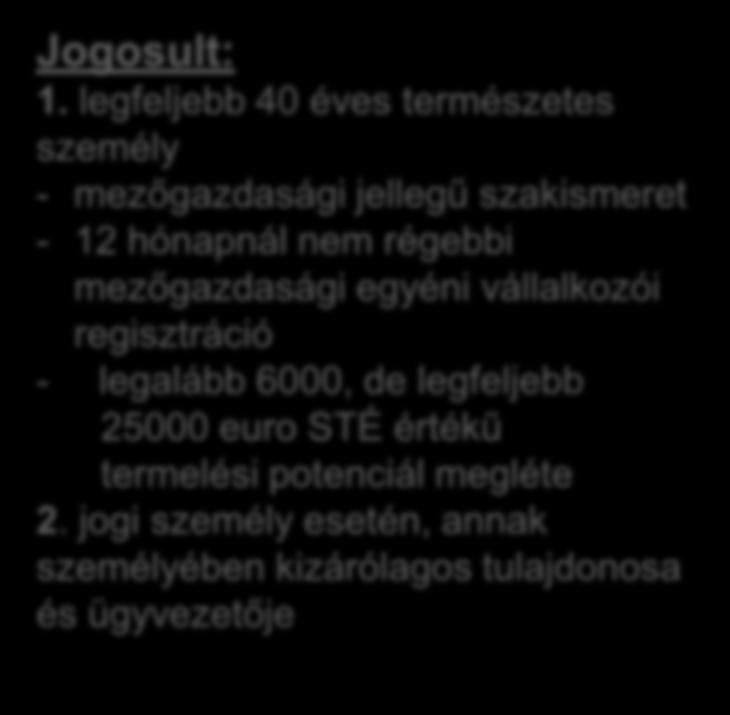 jogi személy esetén, annak személyében kizárólagos tulajdonosa és ügyvezetője