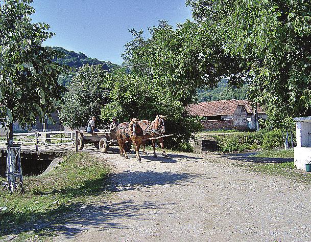 În continuare, Pietroasa poate contribui la reţeaua turistică din nord-estul judeţului cu pensiuni ale cetăţenilor comunei, dar un al doilea pas ar fi rezolvarea problemei drumului Pietroasa - Poieni.