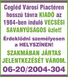www. dpmsz. hu 11 VÉGREHAJTÁS alatt lévő ingatlanát megvásároljuk. 30-364-6285 CEGLÉDEN keresek 16 mftig jó állapotban lévő 3 szobás családi házat.