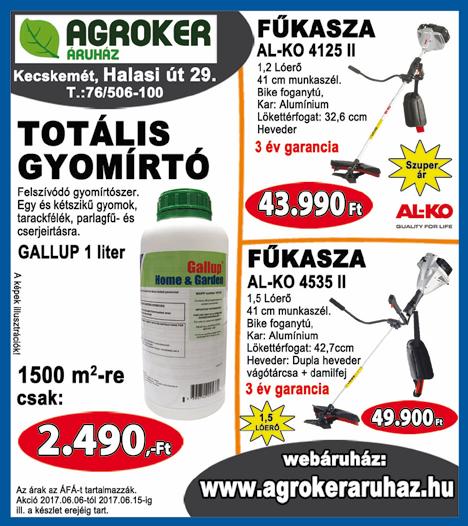 CEGLÉDEN Népkör utcában a Centrál Irodaházban irodák kiadók (23 m2) belső udvari parkolóval.
