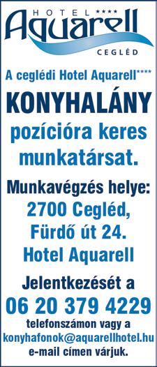 rendelkező ÉKSZERBECSÜST és/vagy 1 fő ékszerkereskedelemben