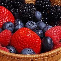 táplálékokat Apró magvas gyümölcsök(egyes tankönyvek