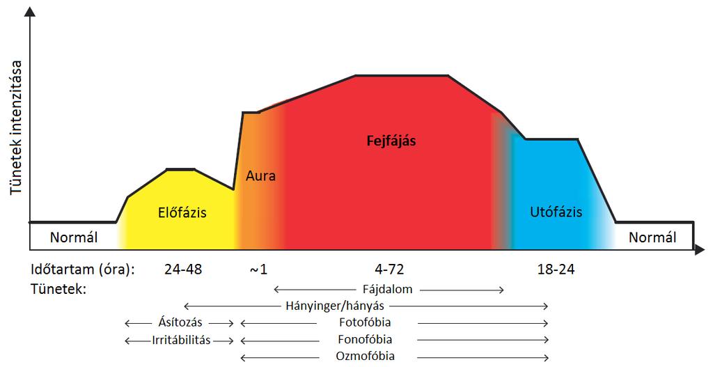 1. ábra. A migrén fázisainak időbeli lefolyása és jellemző tünetei (Burgos-Vega et al. 2015).