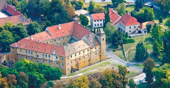 Moson amely a középkor végére szintén mezővárossá lett fejlődése a XIX. században vett lendületet. Ezzel párhuzamosan jelentős zsidó közösség is megtelepedett itt.