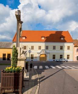 A reformá- első középiskolája, az 739-ben alapított Piarista Rendház és Gimnázium. A Fekete Sas tusok is itt építették fel magyaros-szecessziós stílusú templomukat (940).