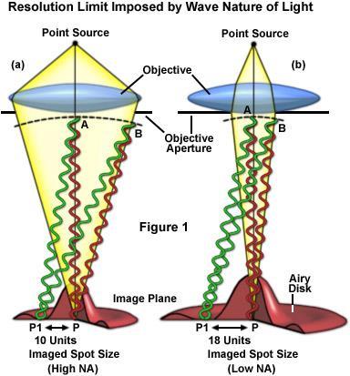 Felbontóképesség http://www.microscopyu.