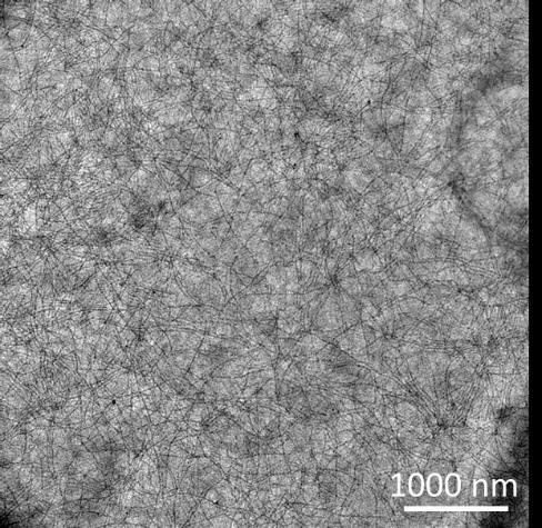 25. ábra A nanoszálas szerkezetű P3HT-ról készült TEM felvételek. A nanoszálas szerkezet kialakulásáról minden polimer esetében TEM felvételek alapján győződtünk meg.