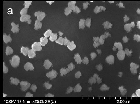 nanoszálas P3HT vékonyrétegről. A P3AT vékonyrétegről készített SEM felvételeken (32.