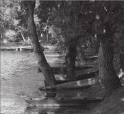 jpg (FOTÓHÁZ FotóAréna - Fotógaléria és fórum) 51. Mártély 2008 http://www.fotohaz.