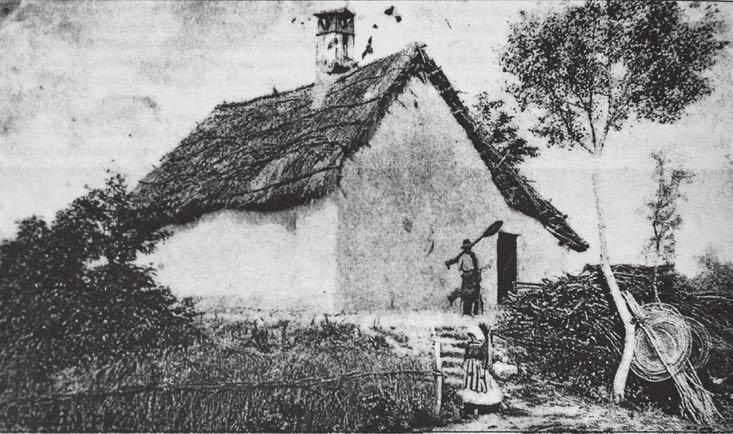 Karancsi Zoltán Kneifel Anett Horváth Gergely (13. ábra).