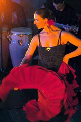 Rock and Roll show 14 15 Tango show Swing