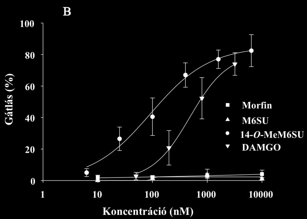 36,87 ± 3,36 n= 12 1,40 ± 0,22 n= 6 14-O-MeM6SU 4,38 ± 0,77 n= 4 99,10 ± 0,90 n= 4 1,92 ± 0,21 n= 4 DAMGO 238,47 ± 65,54 n= 6 96,99 ± 1,88 n= 6 1,66 ± 0,26 n= 4 10.ábra. 10/A.