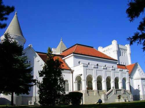 паркингом. Замак је изграђен почетком XX века. Изградио га је чувени војвођански велепоседник Богдан Дунђерски (1862-1943).