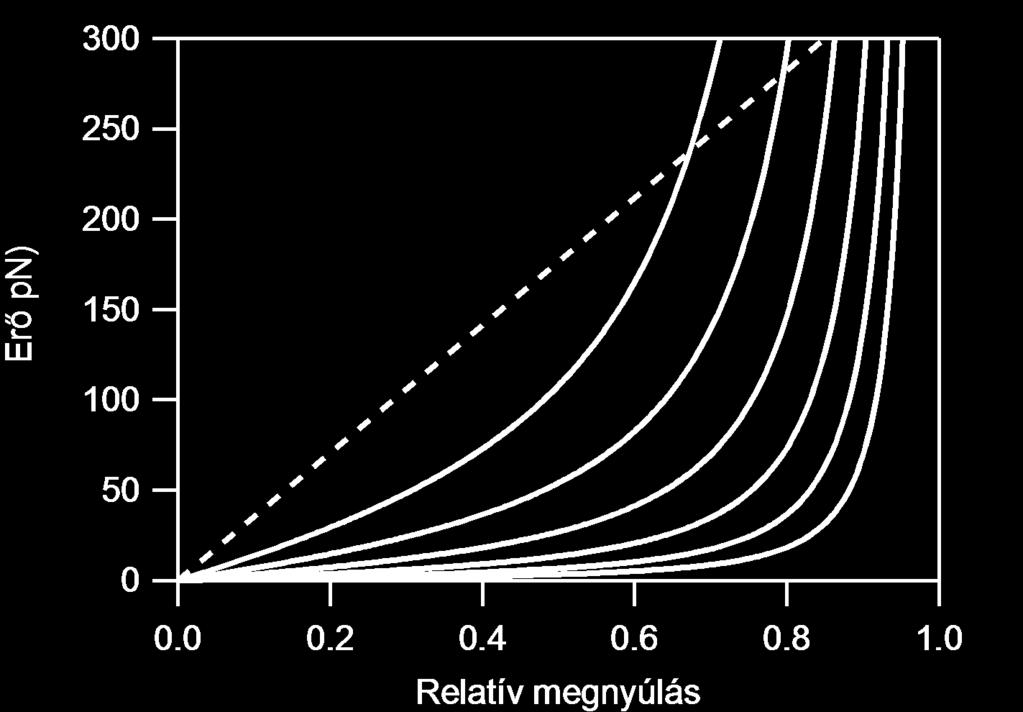 Rugalmasak-e a biopolimerek? Igen, de nem érvényes Hooke törvénye. Rugalmasságuk nem lineáris.