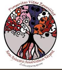 Principal charity goal of the Ball Early development of children HONORARY COMMITTEE Pártfogó Bizottság Prosperitas Vitae Association