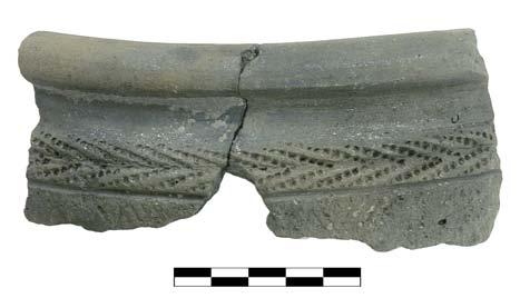 6. Dunaszentgyörgy, feature 8/stratum 11 animal sacrifice pit with roe-deer skeletons 7. ábra: Az 1.58597.155.4._155.