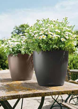 28 // Leucanthemum Egyszerűen szép, ahogy a Color modellek harmonizálnak a virágokkal. Klasszikus kombináció beltéri és kültéri használatra. Prawdziwe piękno harmonii barw serii Color i kwiatów.