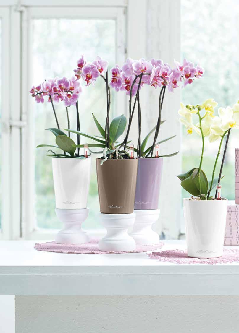 DELTINI tükörfényű, połysk 14950 MINI-DELTINI 10 13 cm 10 13 cm 0,2 l // 0,4 l 0,2 l // 0,4 l antracit metál antracyt metalik 14949 MINI-DELTINI