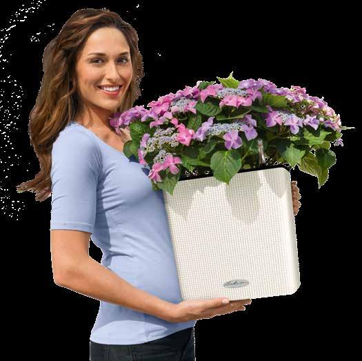 tkaninę CUBE LS Color 35 Letisztult, négyzetes elegancia Elegancja do kwadratu Mindegy, hogy