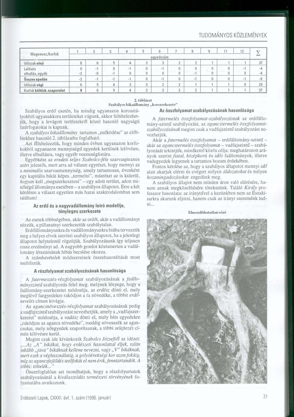 MegnevezYkorfok 1 2 3 4 5 6 7 8 9 11 12 y, eqyedszám Időszak eleji 8 6 5 4 3 3 2 2 1 1 1 37 Lelövés elhullás, egyé b 2 1 1 1 Összes apadás 2 1 1 1 1 1 1 8 Időszak végi 6 5 4 3 3 2 2 1 1 1 29 Korfok