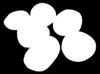 S23111781 S23111881 S23112081 S23113081 S22111781 S22111881