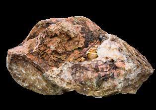 80-100 cm Paleta S25039055 496,00 /t