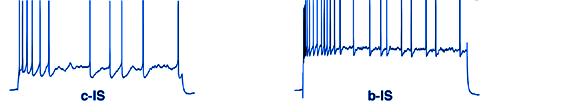 multiplex PCR Genes expressed