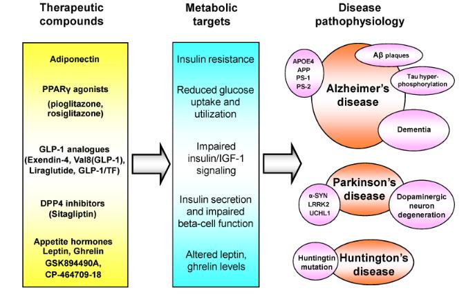 Metabolic Dysfunction in Alzheimer s Disease and Related Neurodegenerative Disorders AD AND BODY