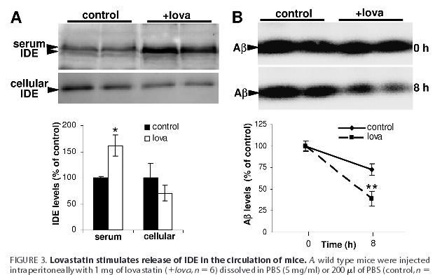 Statins Promote the Degradation of Extracellular Amyloid -Peptide by Microglia via Stimulation of Exosome-associated Insulin-degrading Enzyme (IDE) Secretion http://www.ncbi.nlm.nih.