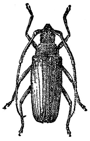 Kocsis et al. Változó klíma IRODALOM Bernáth Jenő (2006): Az éghajlat- és időjárás-változás hatásai a gyógy- és aromanövények produkciójára. In: Csete László Nyéki József (szerk.