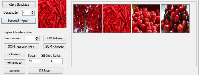 A Hasonló képek gombra kattintva megjelenik a Darabszám címkéjű vezérlő értékének megfelelő darabszámnyi, a mintaképhez legjobban hasonlító kép az adatbázisból.