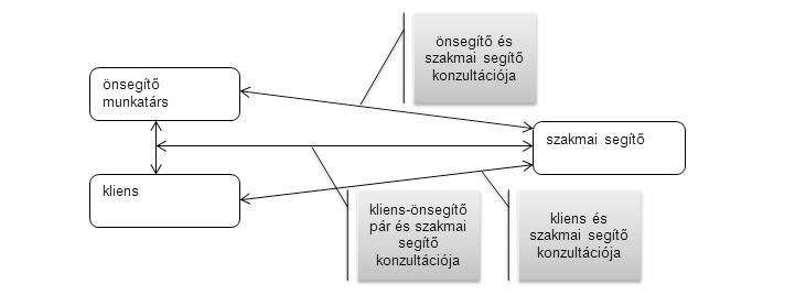 Az önsegítők, azon keresztül, hogy többekkel rendszeres kapcsolatot tartanak fenn, elsődlegesen értesülnek krízishelyzet, vagy más szakmai beavatkozást igénylő helyzet kialakulásáról.