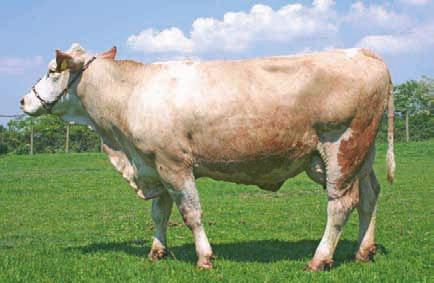 25 19227 Kocséri Dülő Romel 2004. 10. 15. Petőfi Mg.