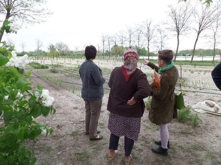 alapszolgáltatásként a tanyagondnoki szolgálatot, így a helyi, valós igények miatt az önkormányzat létrehozhatja és működtethet is a szolgálatot saját hatáskörben azonban erre nincs törvényi