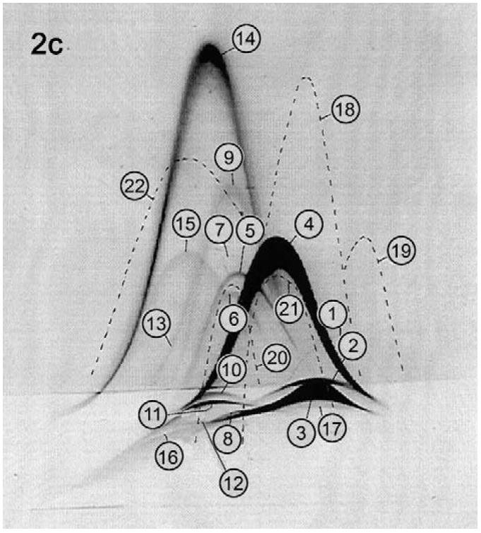 KÉTDIMENZIÓS IMMUNELEKTROFORÉZIS (CRIE) ELEKTROIMMUNOASSAY (RAKÉTA ELEKTROFORÉZIS) Allergy Methods and Protocols Methods in Molecular Medicine Volume 138, 2008, pp 147-165 + Módszer: - Antiszérumot