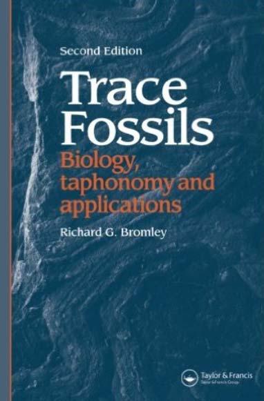 Nyomfosszíliák ~ életnyomok trace fossils Paleoichnológia
