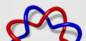 Linking number (L) : a két szál egymás körüli