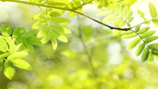 20170528-ig, de legfeljebb a készlet erejéig érvényes hiteligénylés webáruházi