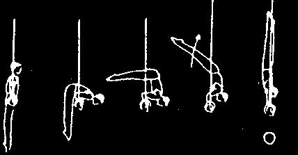 EG II: Éléments de force et maintien (2 s.) - Strength elements and hold elements (2 sec.