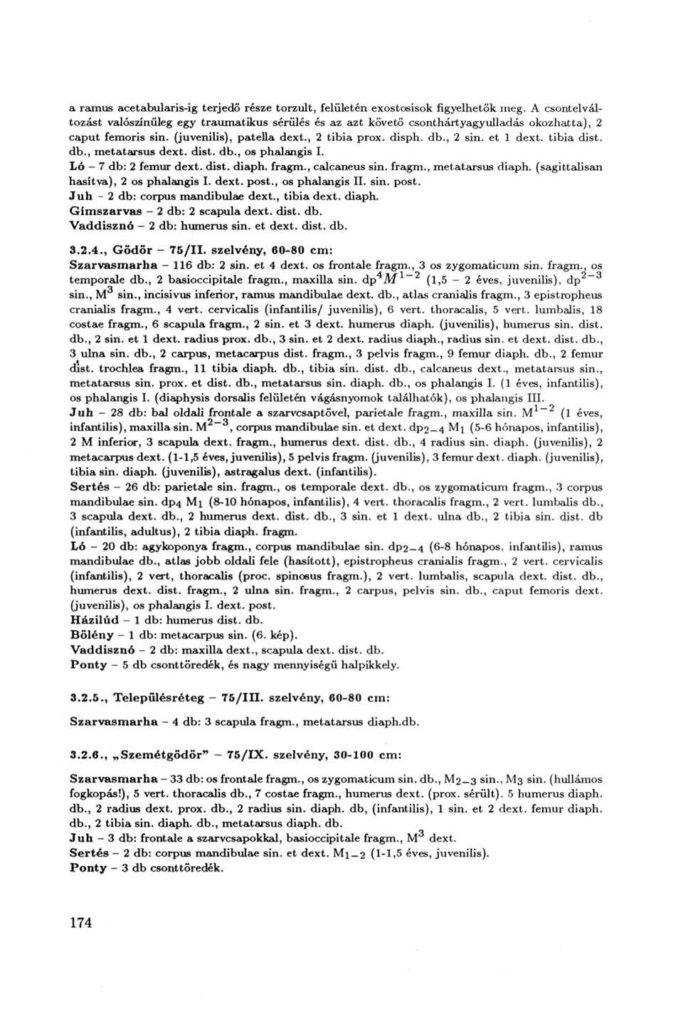 a ramus acetabularis-ig terjedő része torzult, felületén exostosisok figyelhetők meg.