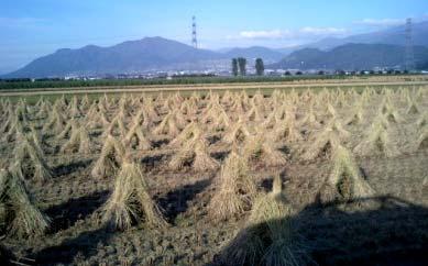 Cropped fields (wet/dry) Bare fields (wet/dry/snow)