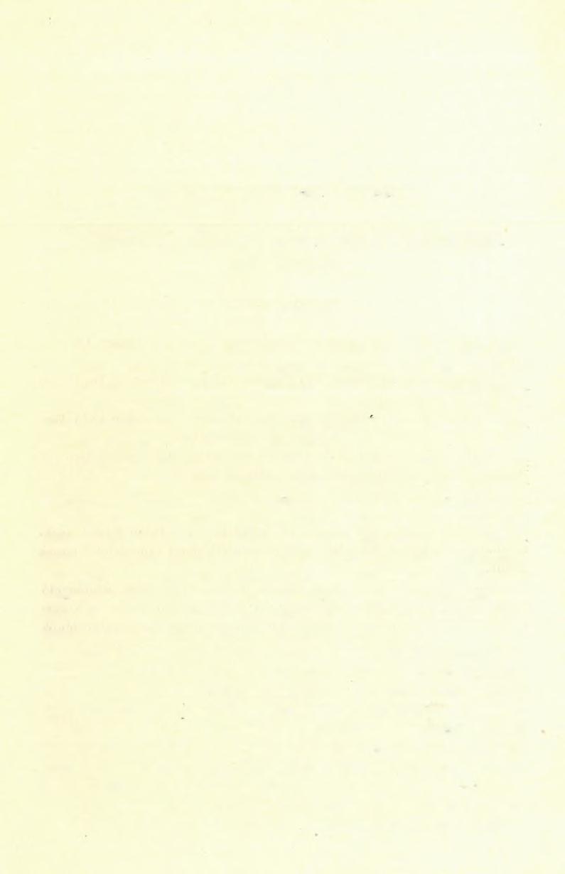 C) Agronomgeologiai fölvételek. 7, Jelentés az 1900-ik év nyarán végzett agrogeologiaí munkálatokról. T b EITZ PÉTEK-tŐ l. Az 1900-ik évi nyár folyamán a nagyméltóságú m. kir.