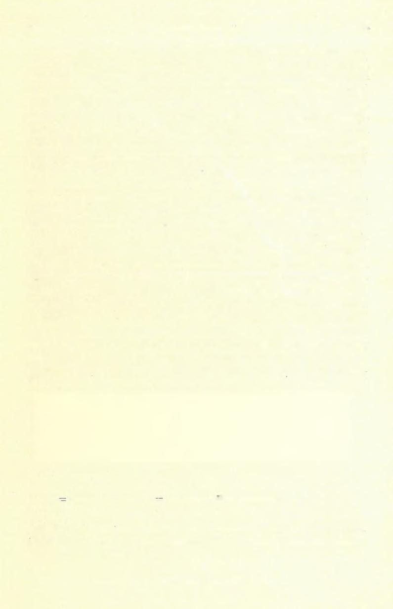 134 TREITZ PÉTER. (3) A U uviális löszterület. A Lápos-réttől nyugatra eső terület folytatása a múlt évben * leírt Kigyóshátnak. Alluviális löszterület, melyen számtalan székes tó van elszórva.