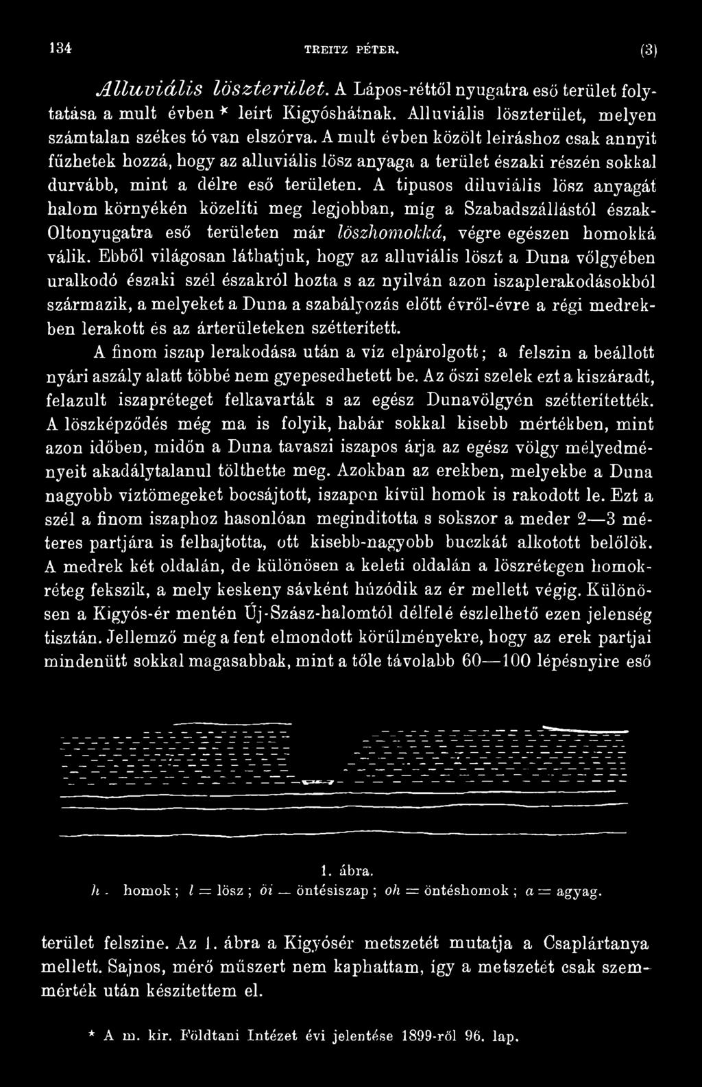 évről-évre a régi medrekben lerakott és az árterületeken szétterített. A finom iszap lerakodása után a víz elpárolgott; a felszín a beállott nyári aszály alatt többé nem gyepesedhetett be.