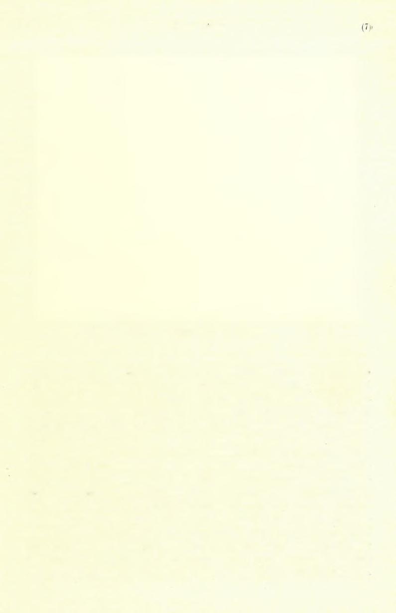 138 TRE1TZ PETEK. 3. ábra. A talajhőmérők elhelyezése.
