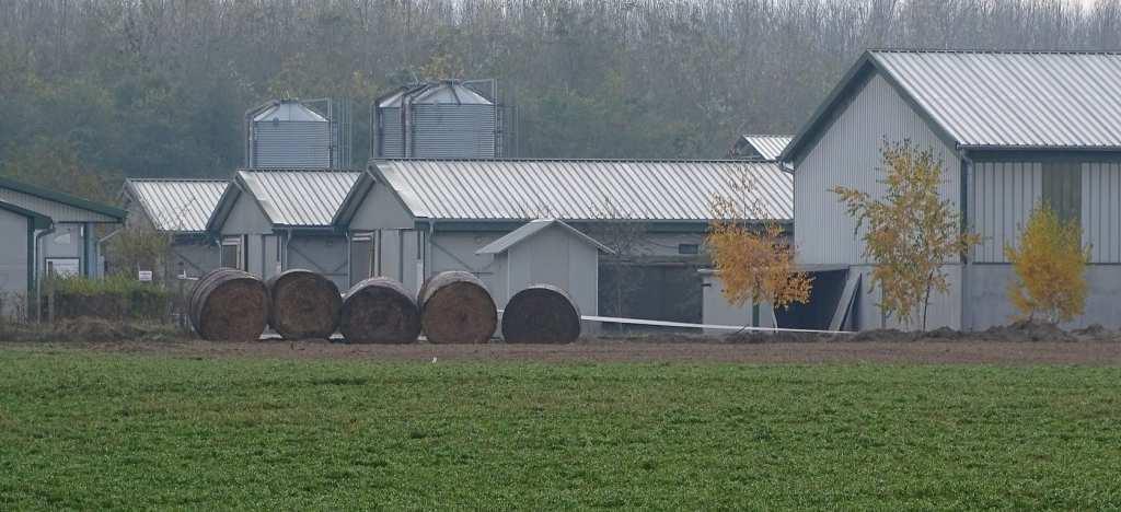 gazdaságokban
