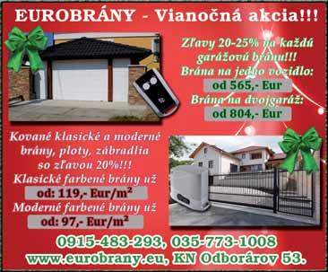 DS 13-49 STRANA - 01 regionálne noviny... nájdeš, čo hľadáš dunajskostredsko.sk DNAJSKOSTREDSKO 7 č. 49 / 6. december 2013 / 17.
