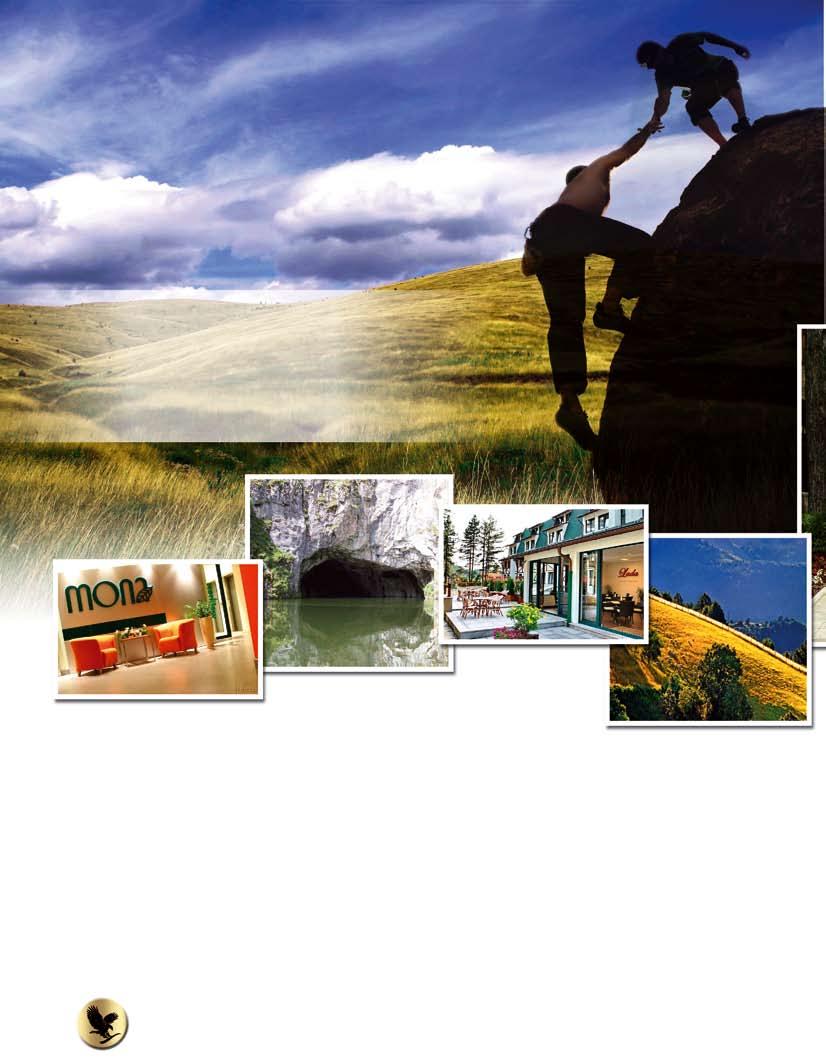 Arti i menaxhimit Takim menaxherësh, Zlatibor, qershor 2010 Firma FLP sipas zakonit i mblodhi distributorët më të suksesshëm të Serbisë në malin Zlatibor, në një nga perlat më të bukura turustike të