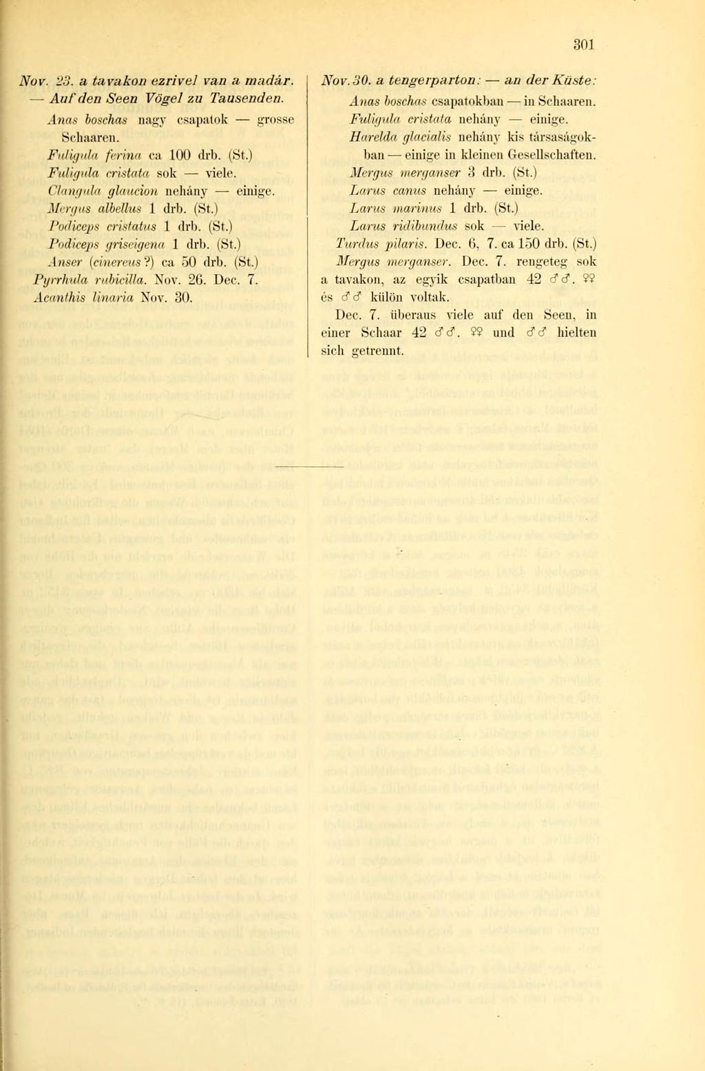 301 Nov. 23. a tavakon ezrivel van a madár. Auf den Seen Vögel zu Tausenden. Anas boschas nagy csapatok grosse Schaaren. Fuligula ferina ca 100 drb. (St.) Fuligula eristata sok viele.