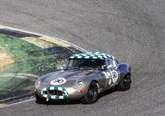 #42 PAUL REES #69 #71